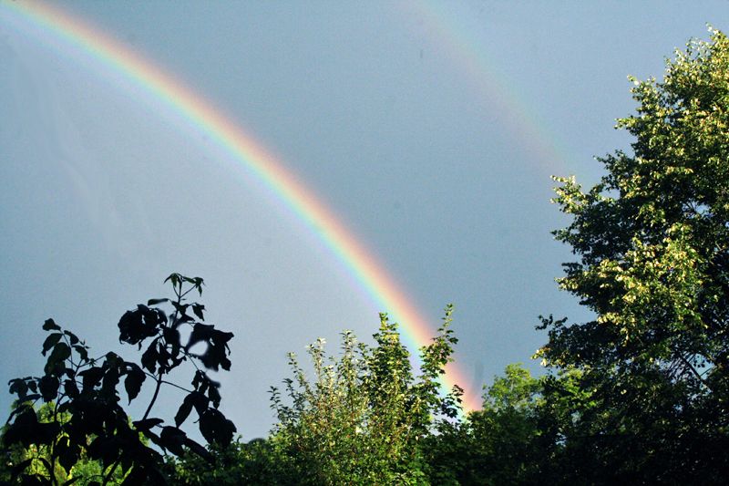 Regenbogen