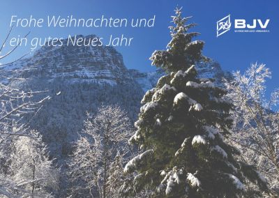 Frohe Weihnachten und einen guten Start in das neue Jahr 2025