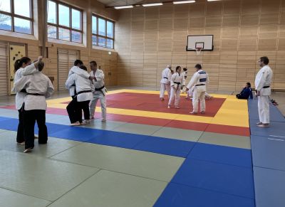 Kata-Lehrgänge Nage-/Ju no kata in Miltach